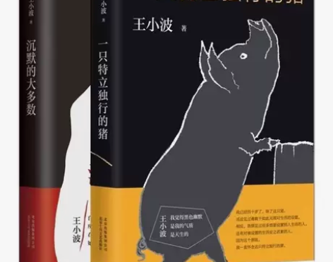 沉默的大多数 纪念版 王小波杂文精选集 一...