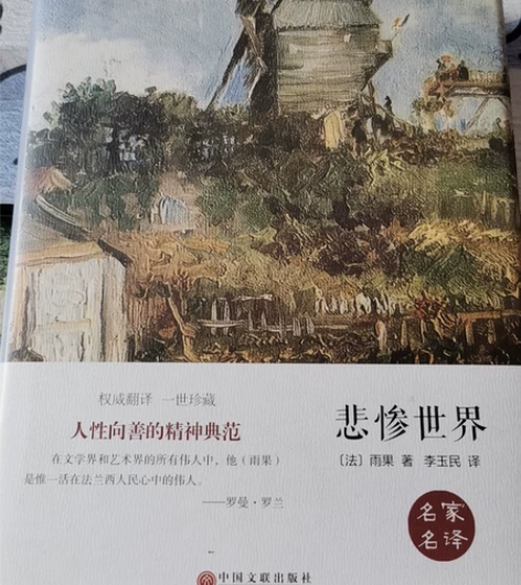 《悲惨世界》精装版二手书 闲置书 出书 感...