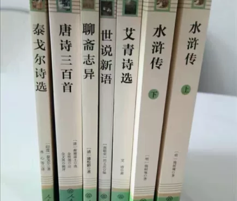 文学小说艾青诗选水浒传唐诗三百首世说新语聊...