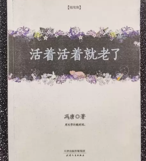 活着活着就老了   冯唐   天津人民出版...