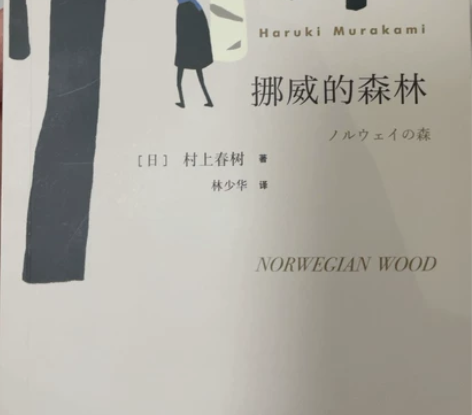 挪威的森林，九五新，已看完，书架不够了 感...