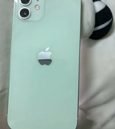 出闲置苹果12绿色 全网通5G内存：128...