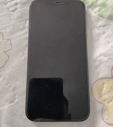 自用iPhone 12Pro 海蓝色，25...