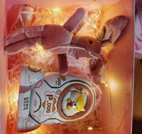 黄油猫超大容量快充迷你充电宝，柴犬款，礼盒...