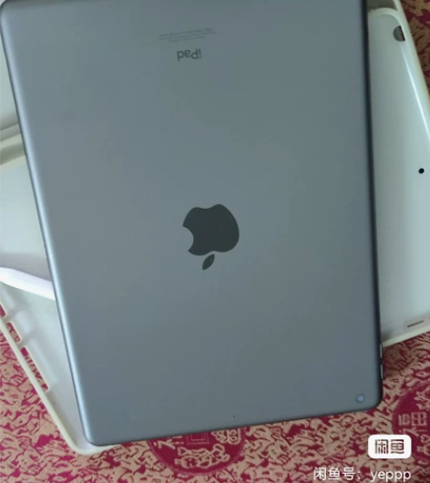 官方购入 自用ipad 2019带penc...