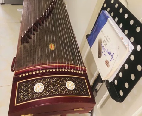 入门古筝，乐谱架、书、古筝凳、替换弦、调音...