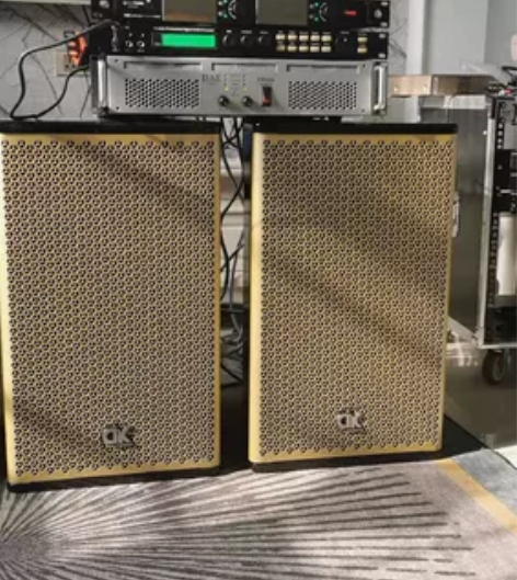 进口单元帝肯CH-12专业12寸音响套装，...