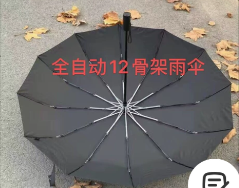 捡漏了，全自动12骨架雨伞挡雨遮阳伞 老外...