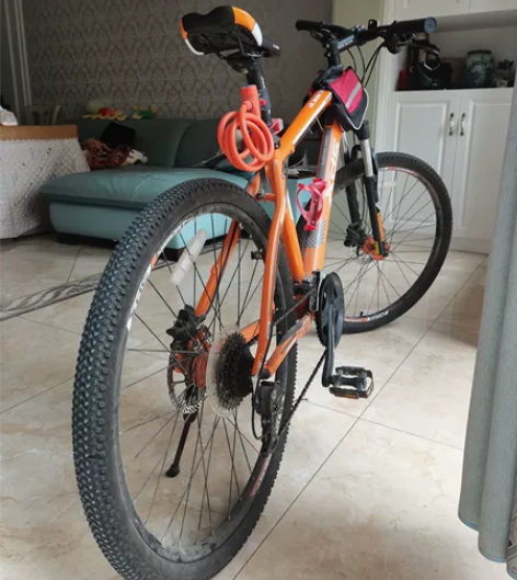 喜德盛旭日500，27速，99新 感兴趣的...