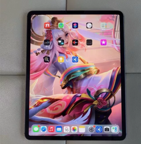 自用iPad 2018pro 256G不议价