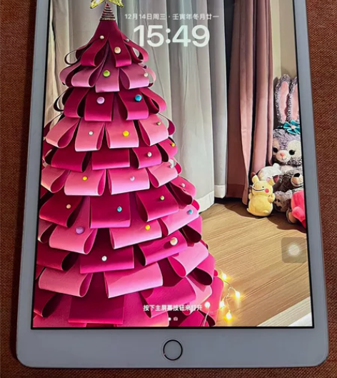 国行IPad 2020 10.2寸第8代 ...