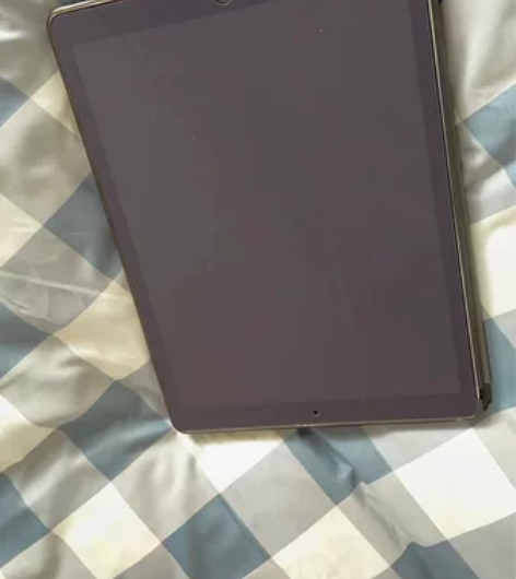 自用iPad pro12.9英寸15款，功...