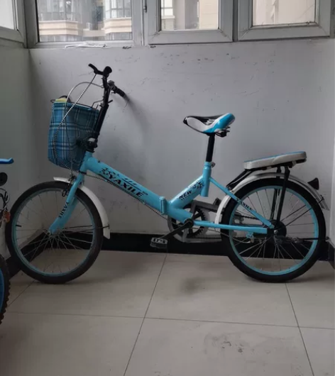20寸折叠自行车，胎毛还在没咋骑，大人小孩...