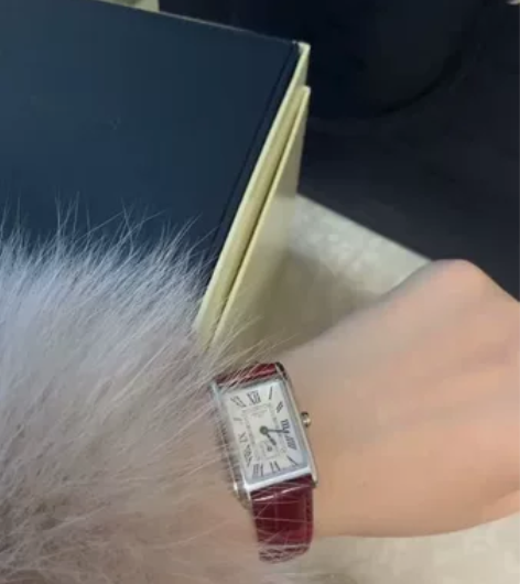 Longines浪琴 官方正品黛绰维纳系列...