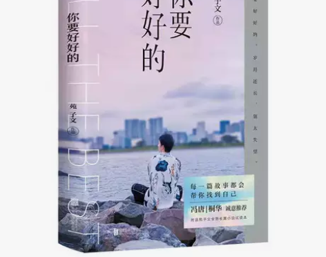 你要好好的 苑子文的新书个人作品集青春文学...