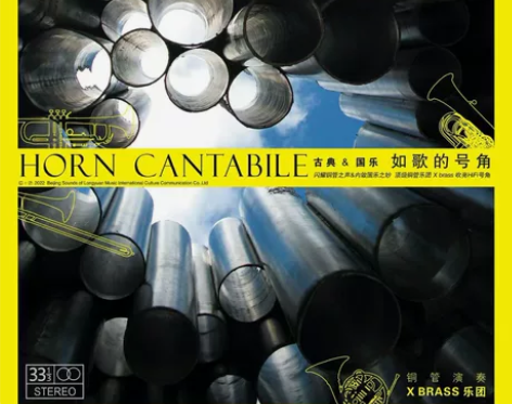 龙源唱片《如歌的号角》限量版黑胶，现货发售...
