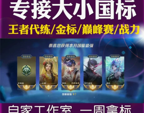 代练包标 无标退款 王者送荣耀刷排位打英雄...