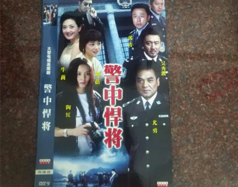 大型电视连续剧，警中悍将，原名叫（立案侦查...