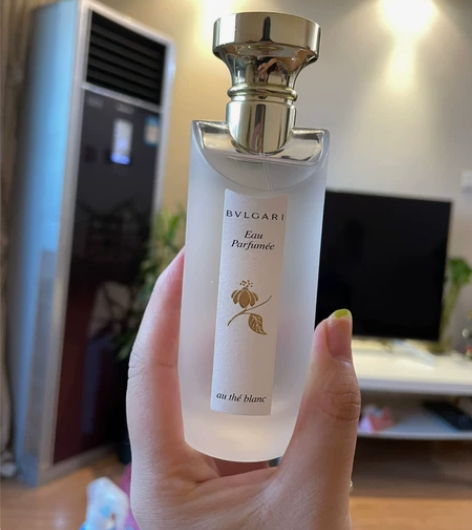 Bvlgari宝格丽BLV 红茶白茶蓝茶绿...