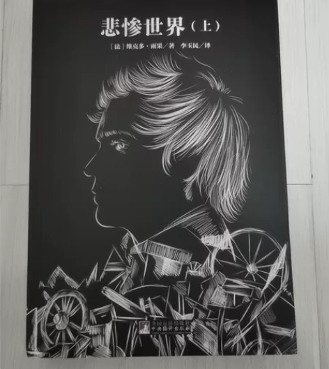 悲惨世界上中下 全新！没塑封全新￥11￥11