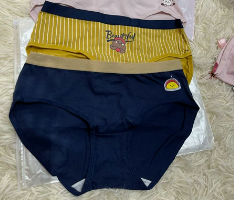 全新4条装，M码，L码，纯棉女款四个颜色短...