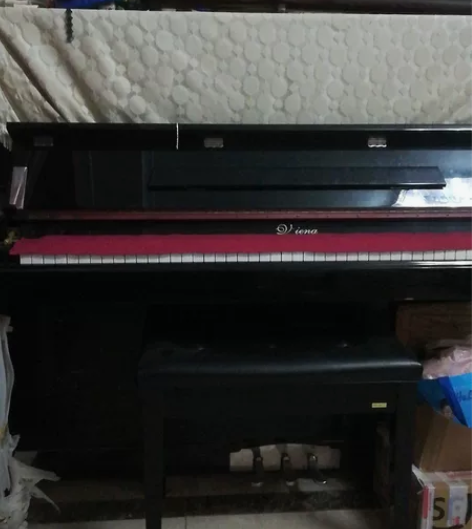 维也纳钢琴,闲置在家,现特价出售。只要几K...