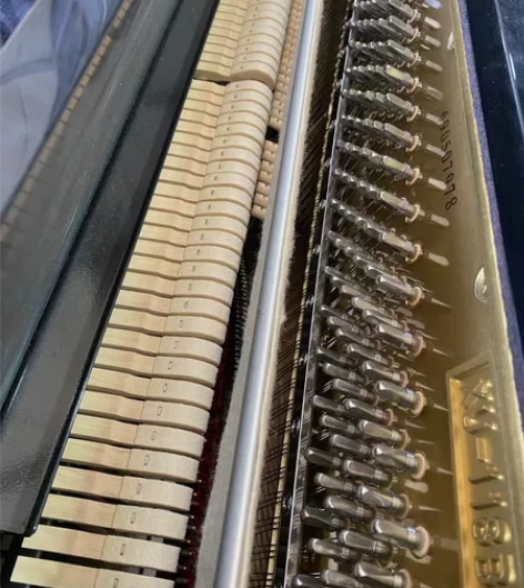 星海钢琴  自家用琴，19年买的，学了一年...