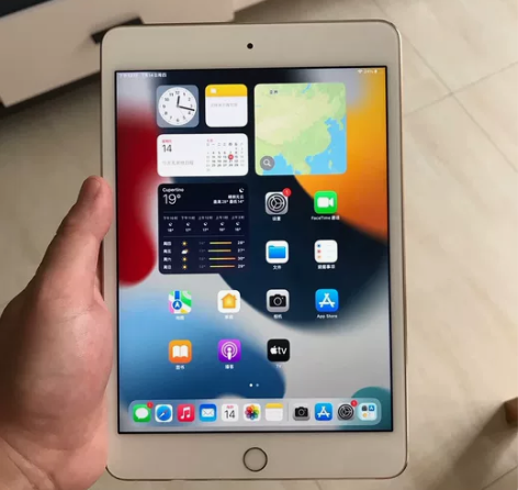 个人闲置转让iPad mini5 64G ...