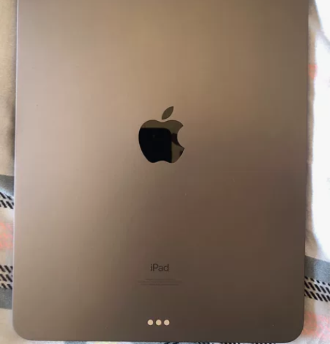 自用ipad pro2021 128G 去...