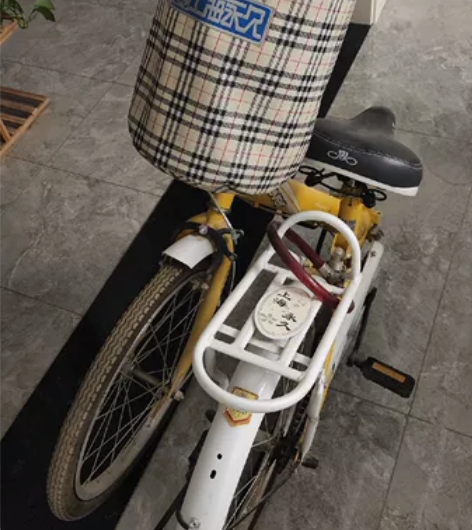 永久折叠自行车 感兴趣的话点“我想要”和我...