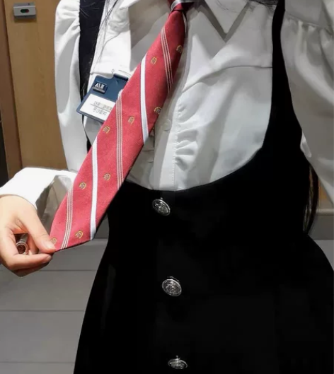 画解 校园小说女主 假两件连衣裙女秋学院风...