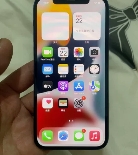 苹果12 iPhone12 128g内存 ...