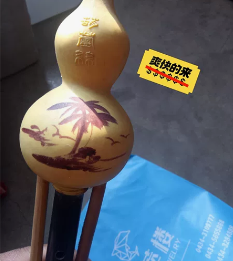 卖葫芦丝,四平车站乐器店买的,也没时间学,...