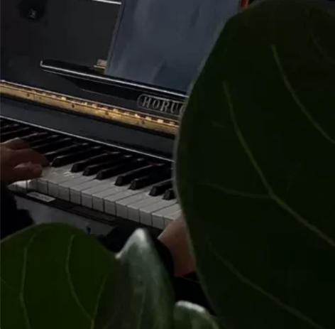 捡漏吧!HORUGEL钢琴 老古董 标价...