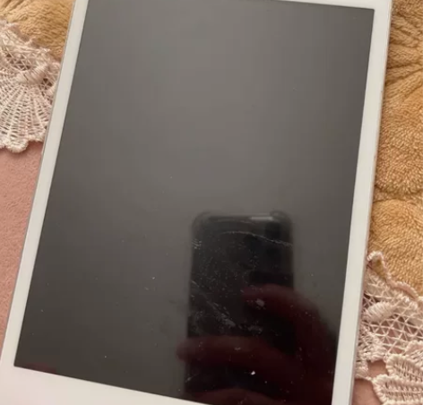 ipad mini 给钱就卖 一百块钱 也...