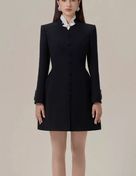 越南设计师秋冬新款小众立领复古a字小黑裙收...