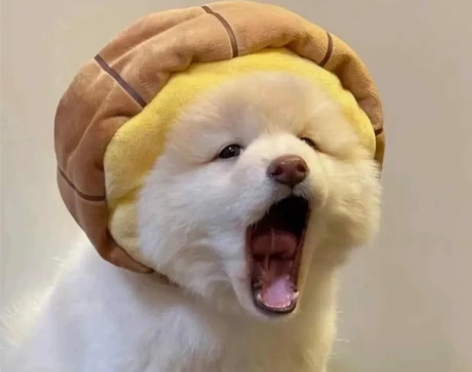 【换物贴】 列表都科幻 有爱都可以来问问呀...