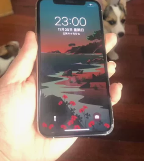 苹果11pro 国行256G 换新手机这个...