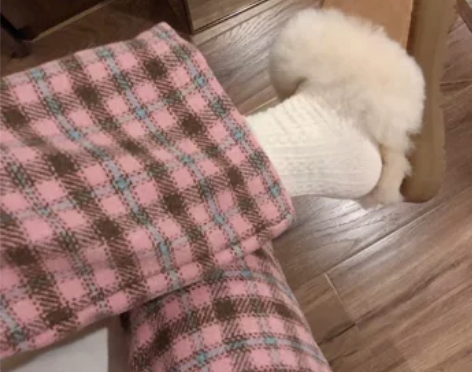 复古粉色毛呢格子裤女加绒加厚秋冬显瘦小个子...