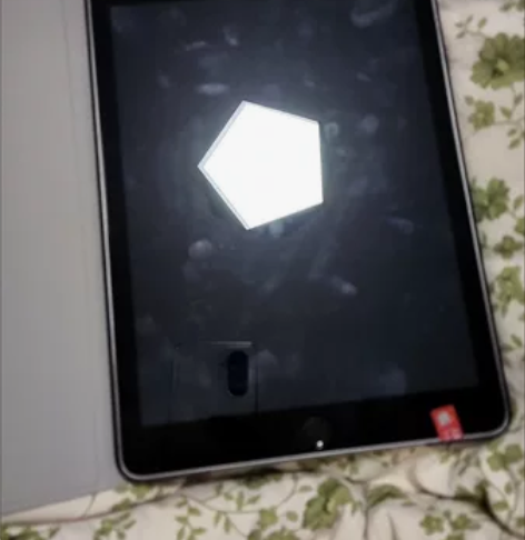 Apple/苹果 iPad 2019 款 ...