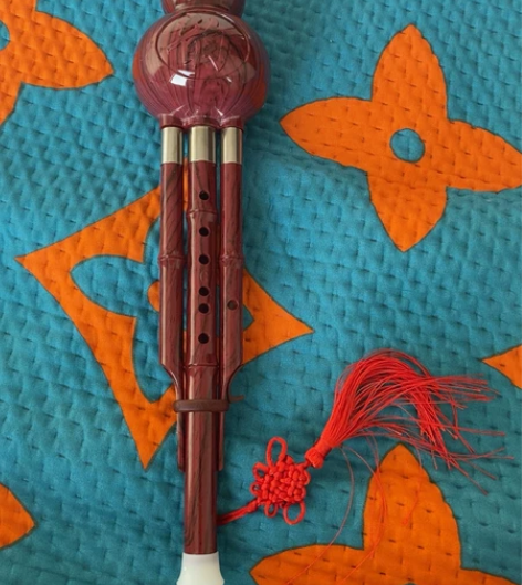 葫芦丝新刚刚入手 想学由于某些原因没办法学...