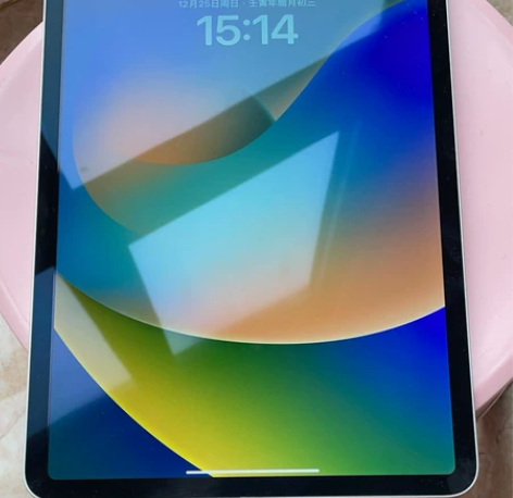 2021iPad Pro11寸128 处理...