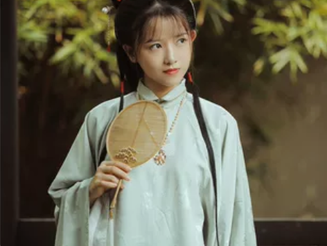 ?兰若庭 汉服 太平有象 长袄 立领 明制...