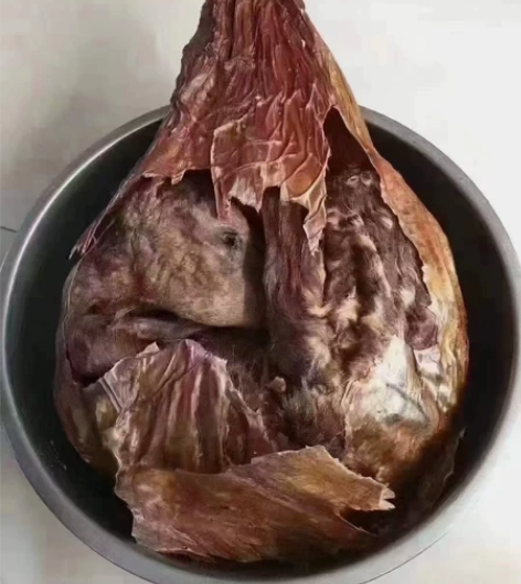 梅花鹿鹿胎，用过的都知道  感兴趣的话点“...