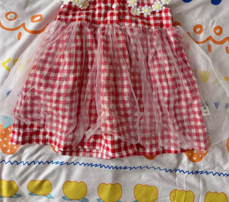 囧小孩童装女宝宝花朵红格子裙可爱风纱裙 穿...
