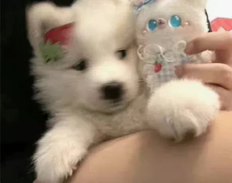 【科幻帖】列表均科幻 只要有爱的就换可出也...