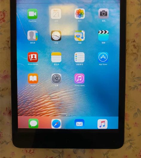 iPadmini2，内存16G，内屏使用会...