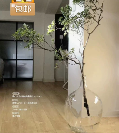 捡漏了，北欧透明大肚玻璃花瓶插花水培小口桌...