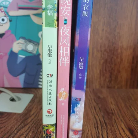 毕淑敏的书，九成新，一本八元，单本或两本不...