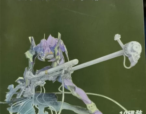 新世纪福音战士10碟装，喜欢收藏的来，看准...